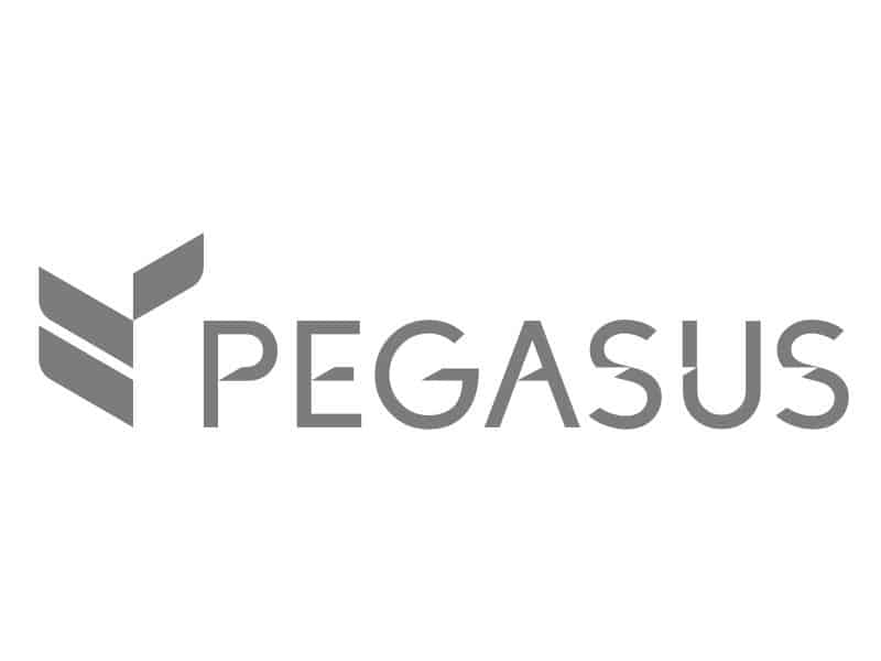 Pegasus